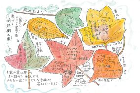 色づく街路樹～風のたより～【植物画】